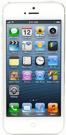 Смартфон Apple iPhone 5 64Gb White & Silver - Воскресенск