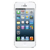 Apple iPhone 5 16Gb white - Воскресенск